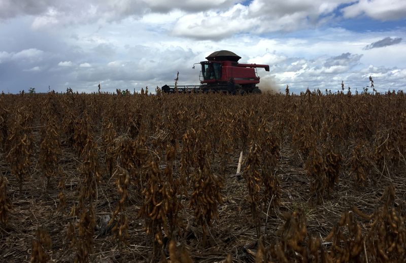 Brazil making 'atypical' soy sales to Argentina, Anec says