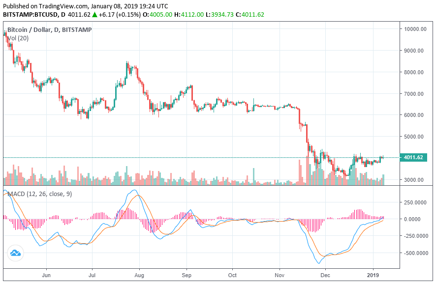 giá bitcoin