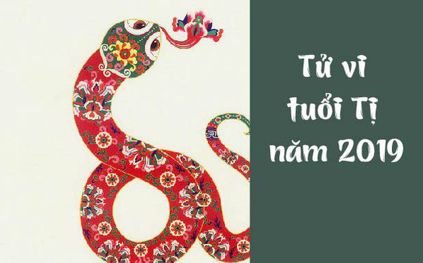 tử vi tuổi tỵ 2019