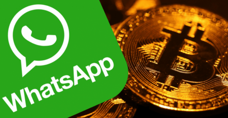 co the gui va nhan bitcoin tren whatsapp, tiendientu, tiền điện tử, mang xa hoi chap nhan cryptocurrency