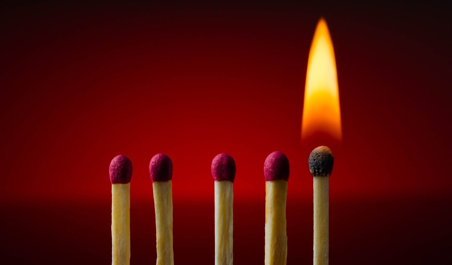 Bitfinex đã bắt đầu mua lại và “đốt” token LEO
