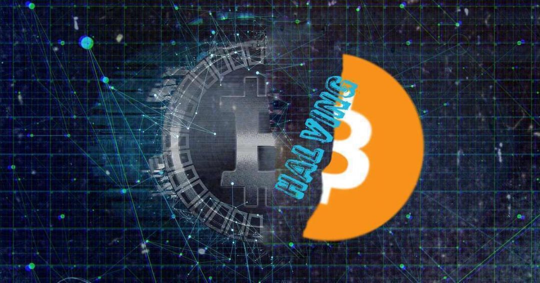 Halving Litecoin vừa qua có thể gợi ý điều gì về Halving Bitcoin sắp tới?
