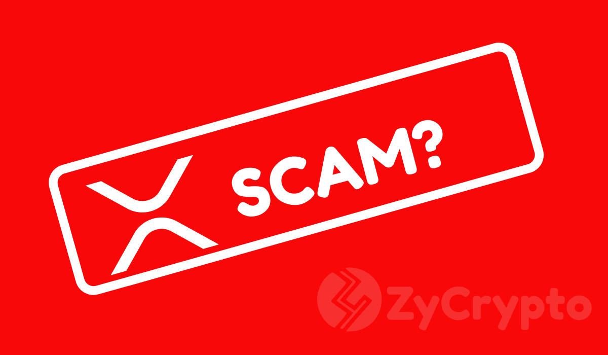 Jason-Bloomberg-Calls-Ripple-a-scam-and-XRP-a-Pump-and-Dump-Project-But-is-that-really-What-it-is_