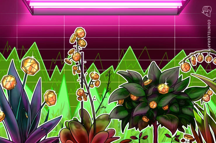 Bitcoin SV và Bitcoin Cash tăng vọt (nguồn: CoinTelegraph)