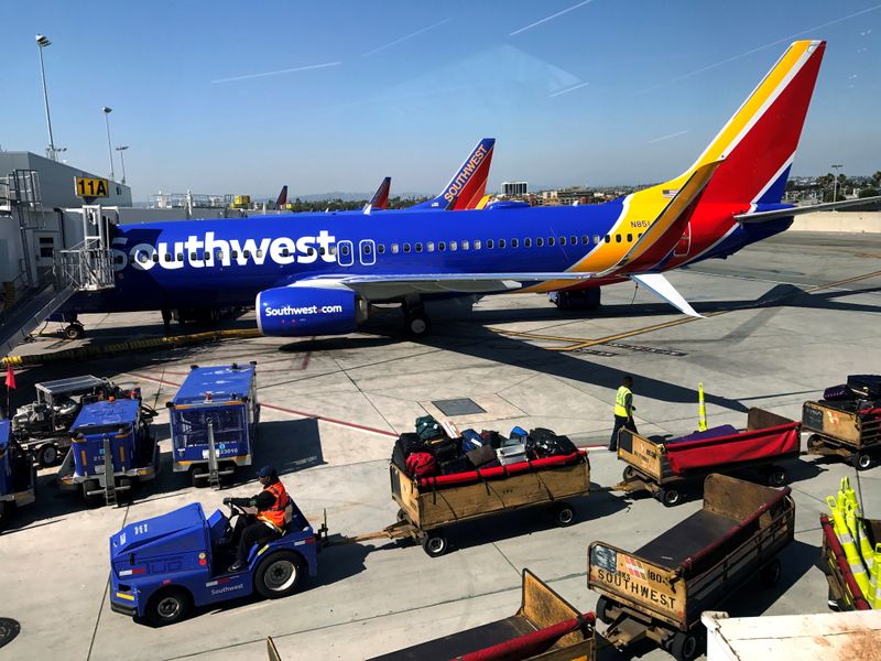 Southwest Airlines temporarily halted flights over computer issue