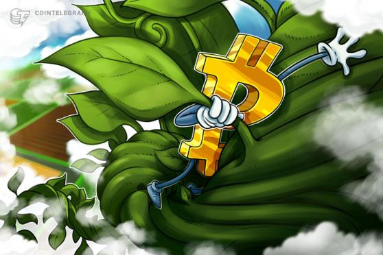 Bitcoin price nears $36K as altcoins make 10% gains