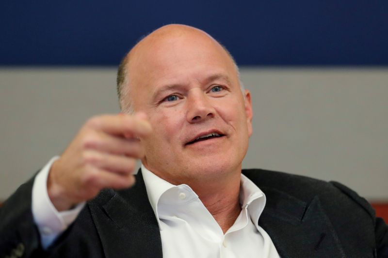 Exclusive: Crypto billionaire Novogratz leads funding for virtual real estate firm