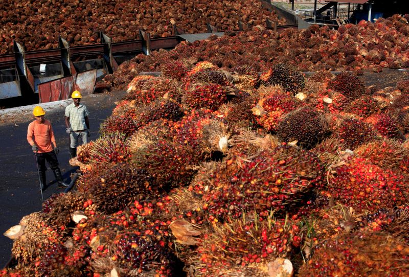 Malaysia says palm oil industry faces $2.4 billion annual loss due to labour crunch