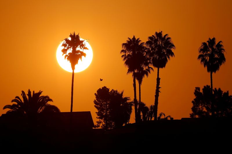 California urges power conservation in heat wave, prices soar