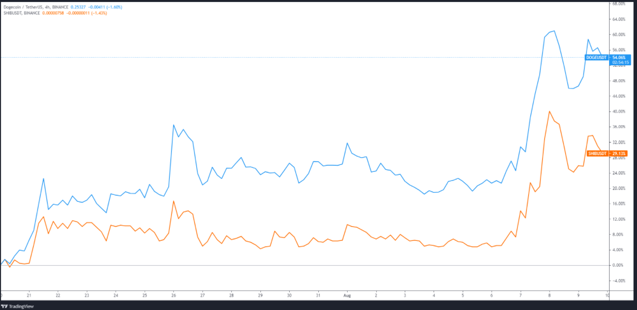 Dogecoin và Shiba Inu tăng 50% khi các altcoin tăng giá