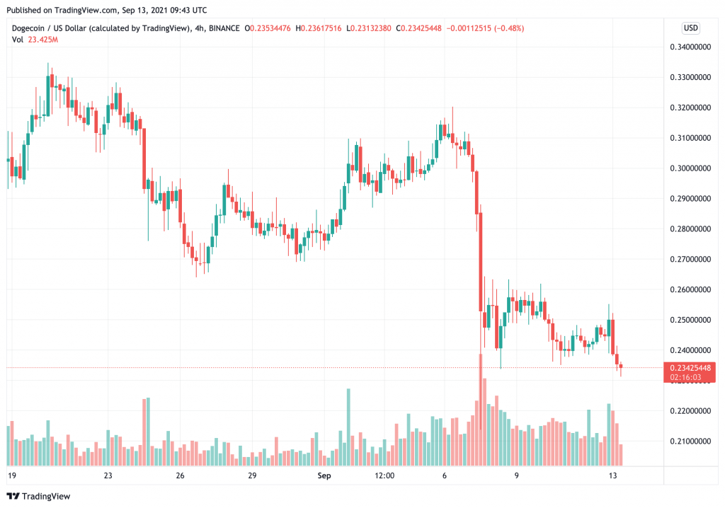 elon-musk-lai-day-gia-floki-inu-tang-vot-gan-90-chi-bang-buc-anh-ve-chu-cho-cua-minh