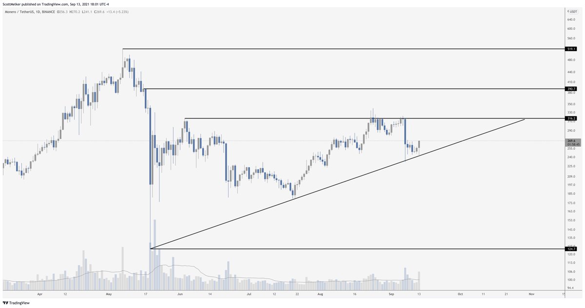 algo-matic-altcoin