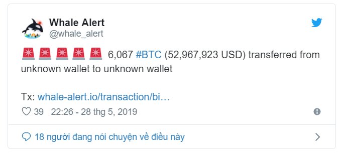 btc cá voi