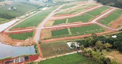 Đất vườn, đất ruộng lên cơn sốt