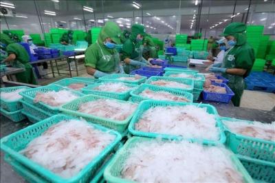 Chủ tịch đăng ký thoái toàn bộ vốn, giá cổ phiếu IDI 