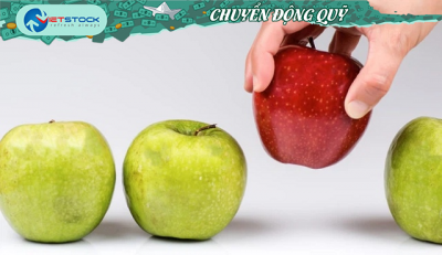Giao dịch quỹ đầu tư: Chiều mua yếu thế