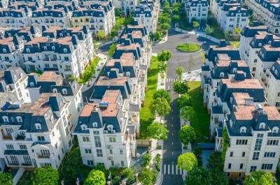 Phó Tổng Giám đốc muốn thoái sạch vốn tại NTL