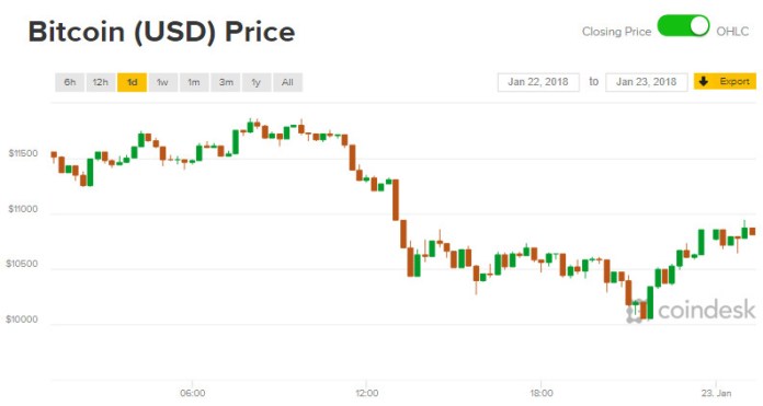 Diễn biến giá Bitcoin 24 giờ qua. Nguồn: CoinDesk