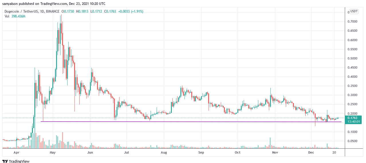 Dogecoin Foundation tiết lộ kế hoạch lớn dành cho DOGE vào năm 2022