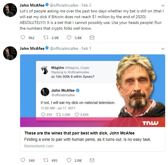 McAfee: Bitcoin khong dat 1 trieu USD nam 2020, toi se tu an 'cua quy' hinh anh 1