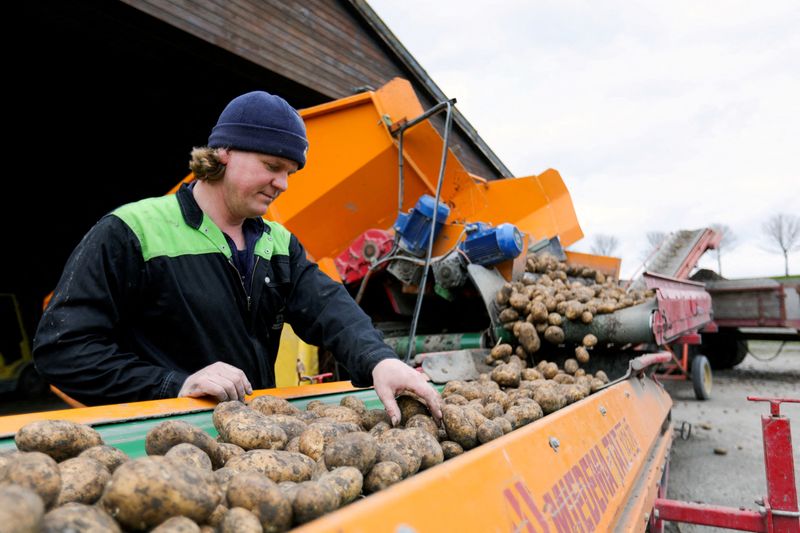 Canada says completes important step for resuming potato exports to U.S