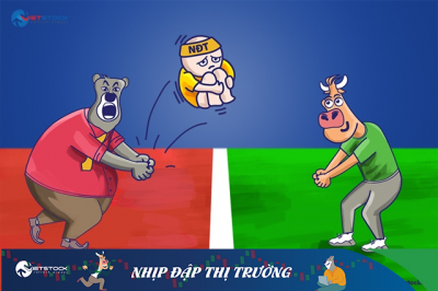 Nhịp đập Thị trường 10/01: Tăng nhẹ nhưng có sự phân hóa