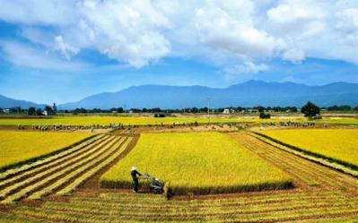 Chủ tịch TAR thoái hết vốn 