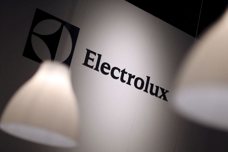 Electrolux books $85 million tariffs case related charge in Q4