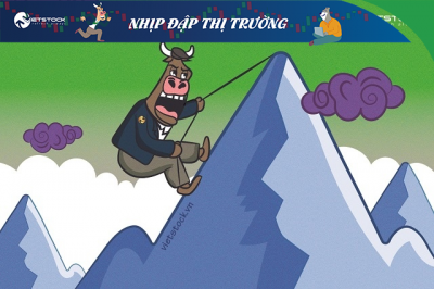 Nhịp đập Thị trường 28/01: Chớm tăng