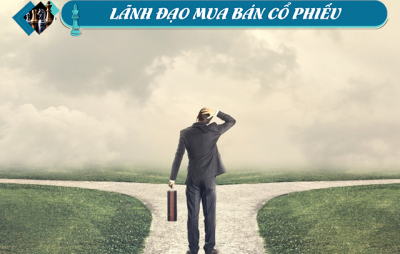 Lãnh đạo mua bán cổ phiếu: Các giao dịch lớn tại HNG, LUT, EVS và SSB