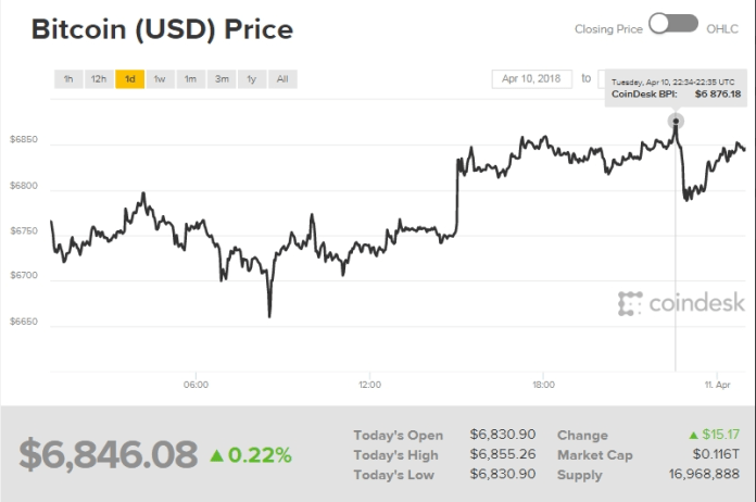 Biểu đồ giá bitcoin hôm nay (11/4) Nguồn Coindesk